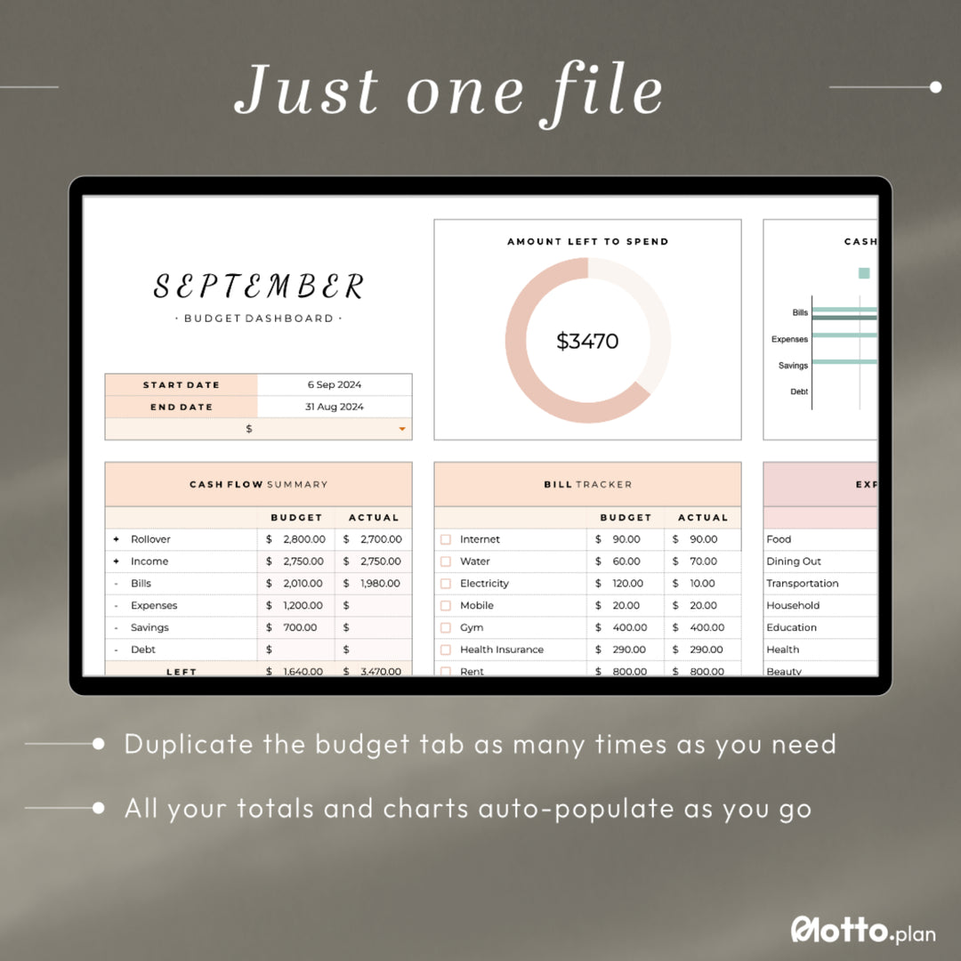 Duplicate budget tab for multiple budget periods