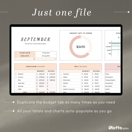 Duplicate budget tab for multiple budget periods